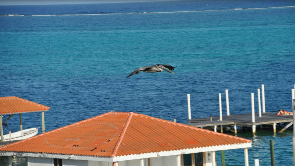 Sands Villas San Pedro  Eksteriør bilde